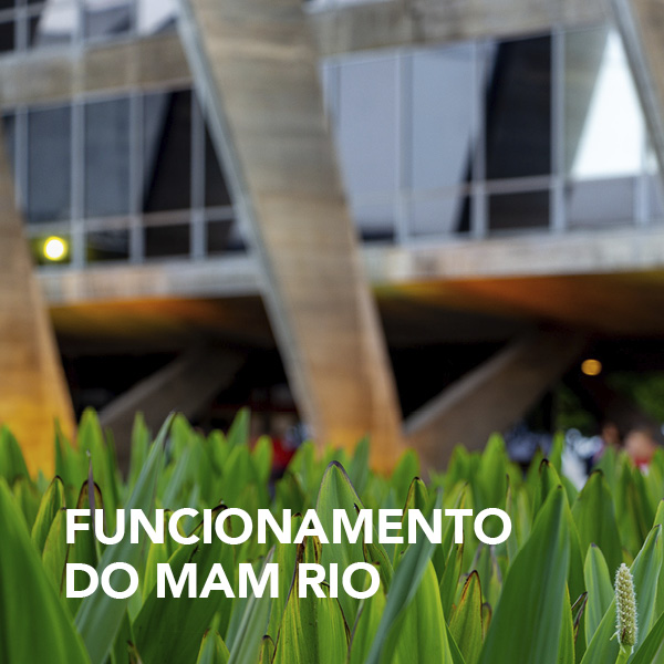 Mam Rio MAM Rio – Museu de Arte Moderna do Rio de Janeiro