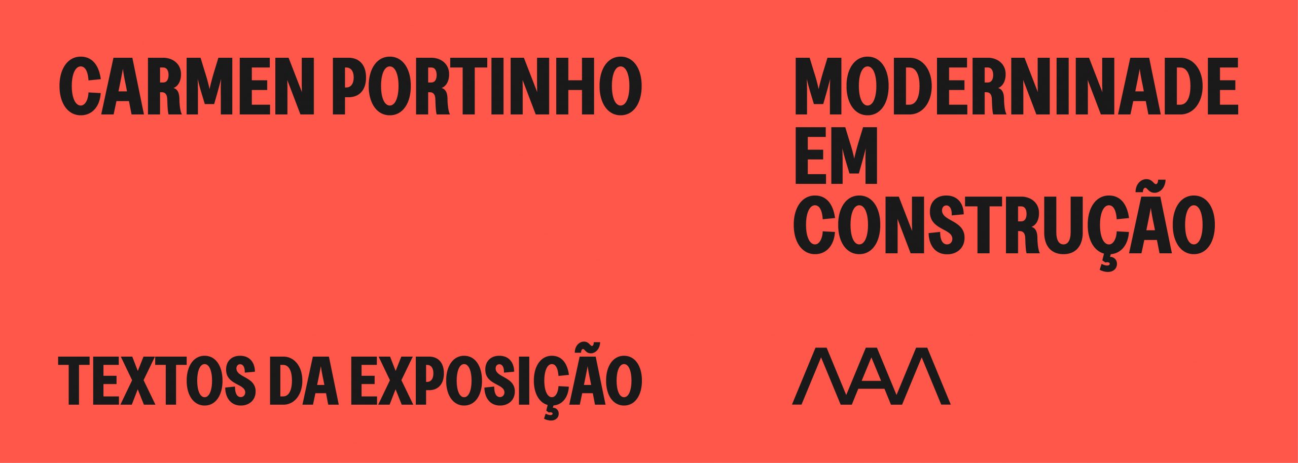 textos exposição Carmen