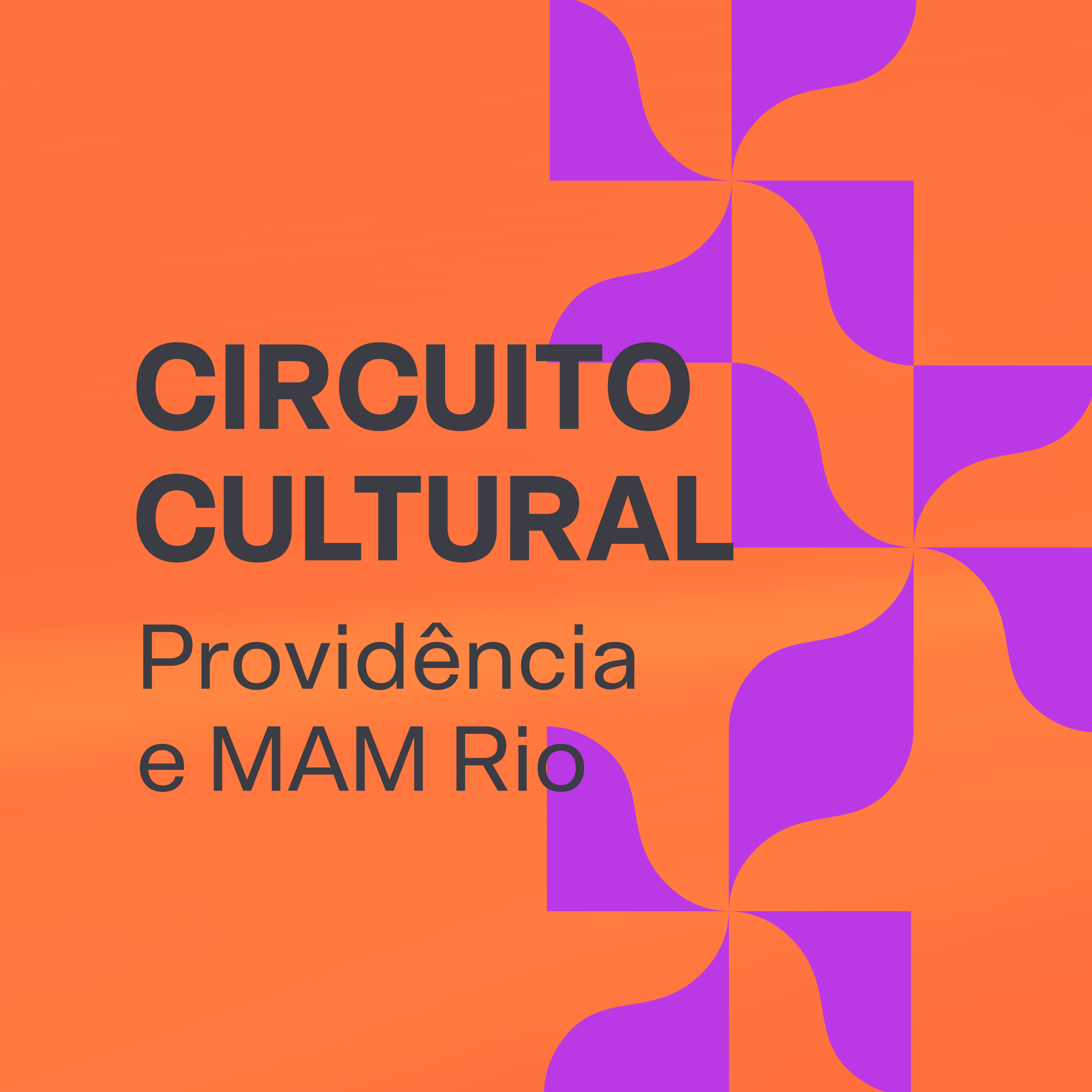 Circuito Cultural: Providência e MAM Rio