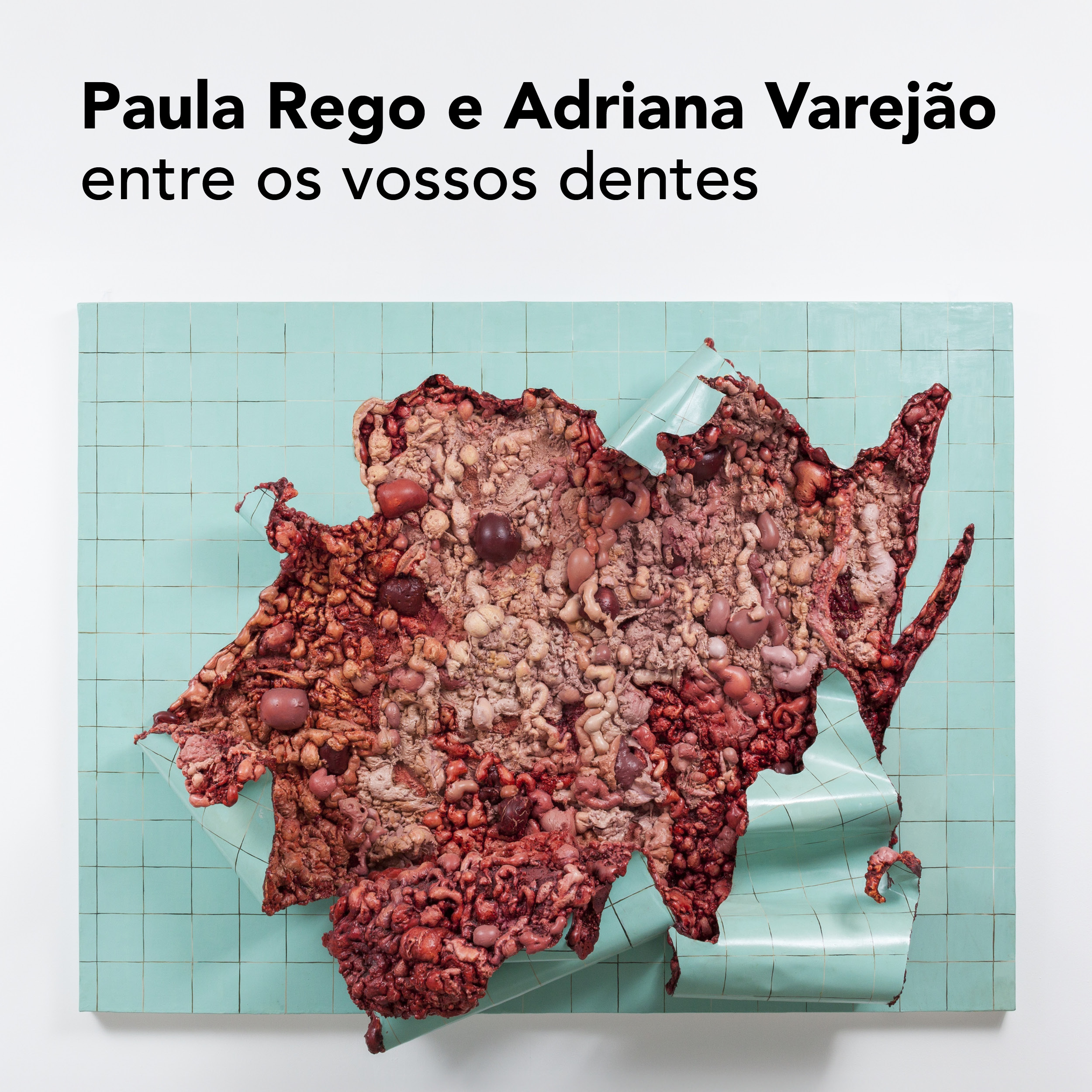 Dia 22 de agosto, MAM Rio recebe lançamento de livro